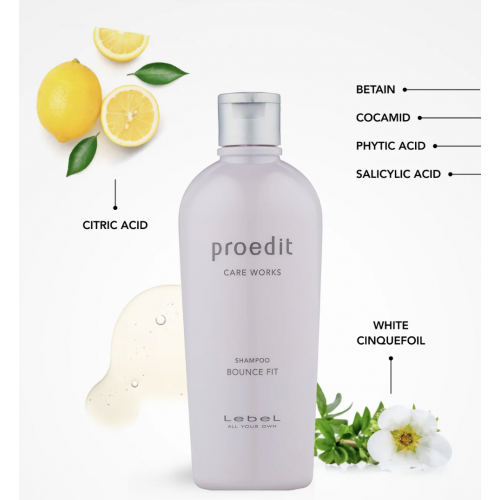 Lebel Proedit Bounce Fit Shampoo Шампунь для восстановления сильно поврежденных, сухих и ломких волос Lebel Proedit Bounce Fit Shampoo Шампунь для восстановления сильно поврежденных, сухих и ломких волос