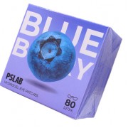Патчи для сияния кожи с экстрактом черники Antioxidant PSLAB, 80 шт. Патчи для сияния кожи с экстрактом черники Antioxidant PSLAB, 80 шт.