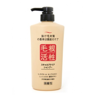 Купить японский шампунь для укрепления и роста волос 550ml Japan-Store.ru