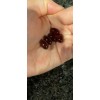 Пищевая добавка Dear Natura DHA + Гингко Билоба на 60 дней