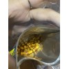 DHC Наноколлоиды платины (30 табл. на 30 дней)