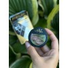 Sante Fx V+