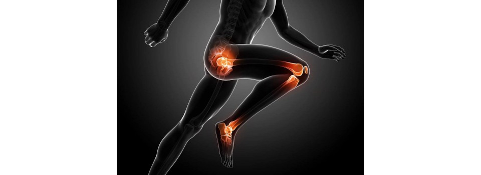 Что такое хондроитин и глюкозамин