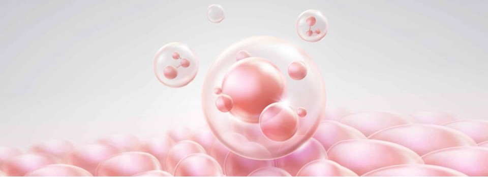 Неденатурированный коллаген 2 типа: что это такое и как он влияет на здоровье